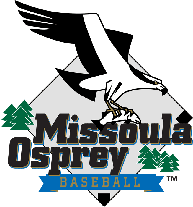 Missoula Osprey 1999-Pres Primary Logo iron on paper